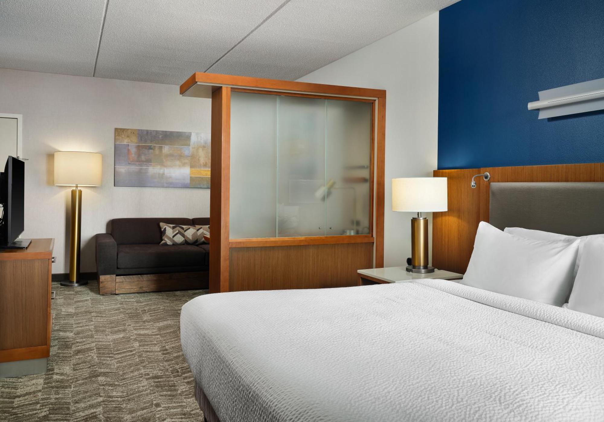 Springhill Suites By Marriott Pittsburgh Mt. Lebanon Экстерьер фото
